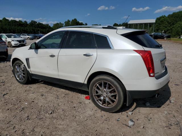 Photo 1 VIN: 3GYFNHE35DS518207 - CADILLAC SRX PERFOR 