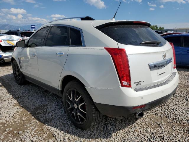 Photo 1 VIN: 3GYFNHE36DS557081 - CADILLAC SRX PERFOR 