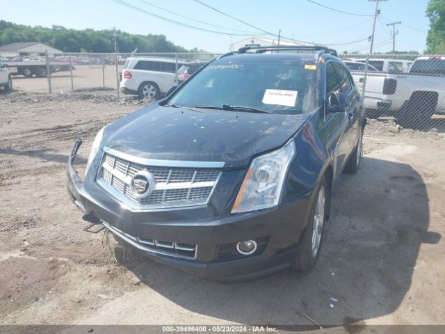 Photo 1 VIN: 3GYFNJE34DS556583 - CADILLAC SRX 