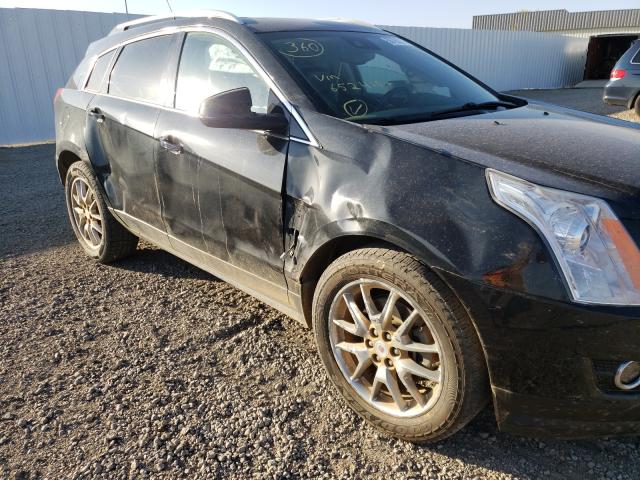 Photo 8 VIN: 3GYFNJE34DS652410 - CADILLAC SRX PREMIU 