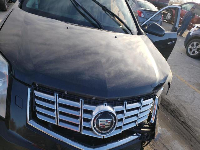 Photo 10 VIN: 3GYFNJE34DS655307 - CADILLAC SRX 