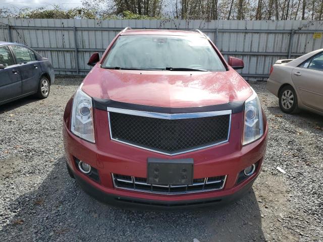 Photo 4 VIN: 3GYFNJE39DS569491 - CADILLAC SRX PREMIU 