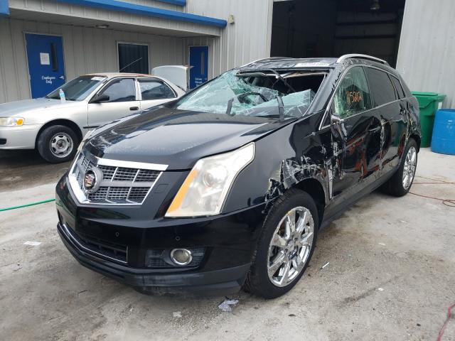 Photo 1 VIN: 3GYFNJE48AS601738 - CADILLAC SRX PERFOR 