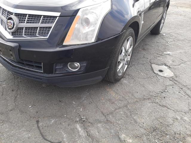 Photo 8 VIN: 3GYFNJE61BS512824 - CADILLAC SRX PERFOR 