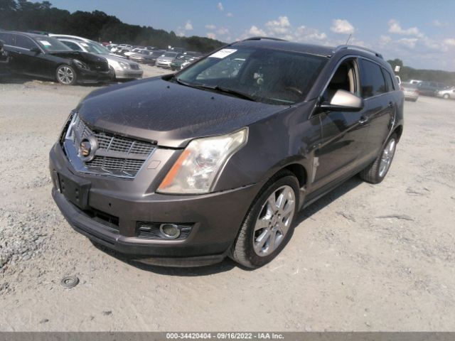 Photo 1 VIN: 3GYFNJE66BS568208 - CADILLAC SRX 