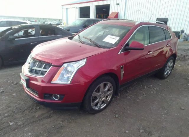 Photo 1 VIN: 3GYFNKE68BS569947 - CADILLAC SRX 