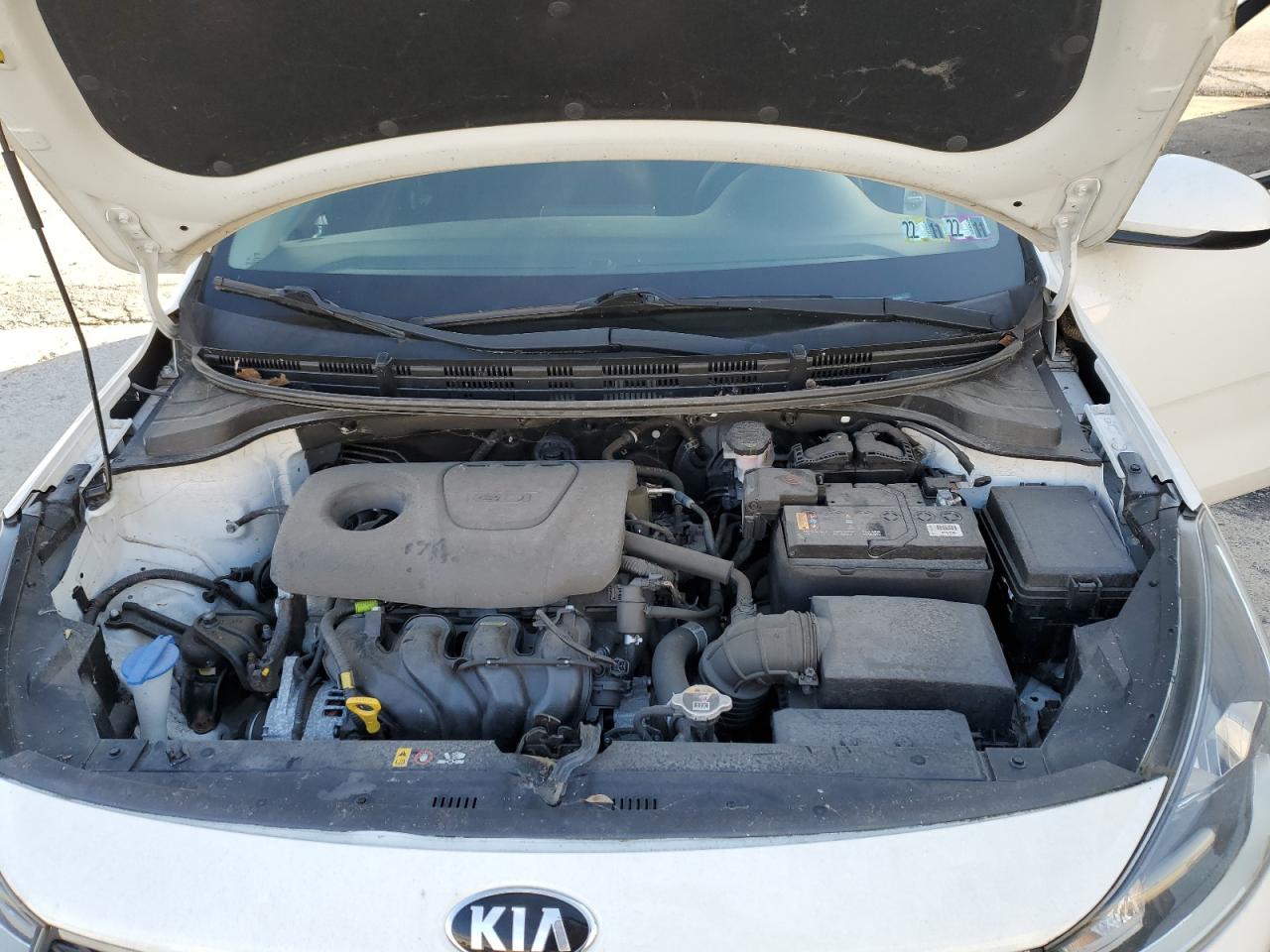 Photo 10 VIN: 3KPA24AB6KE188118 - KIA RIO 