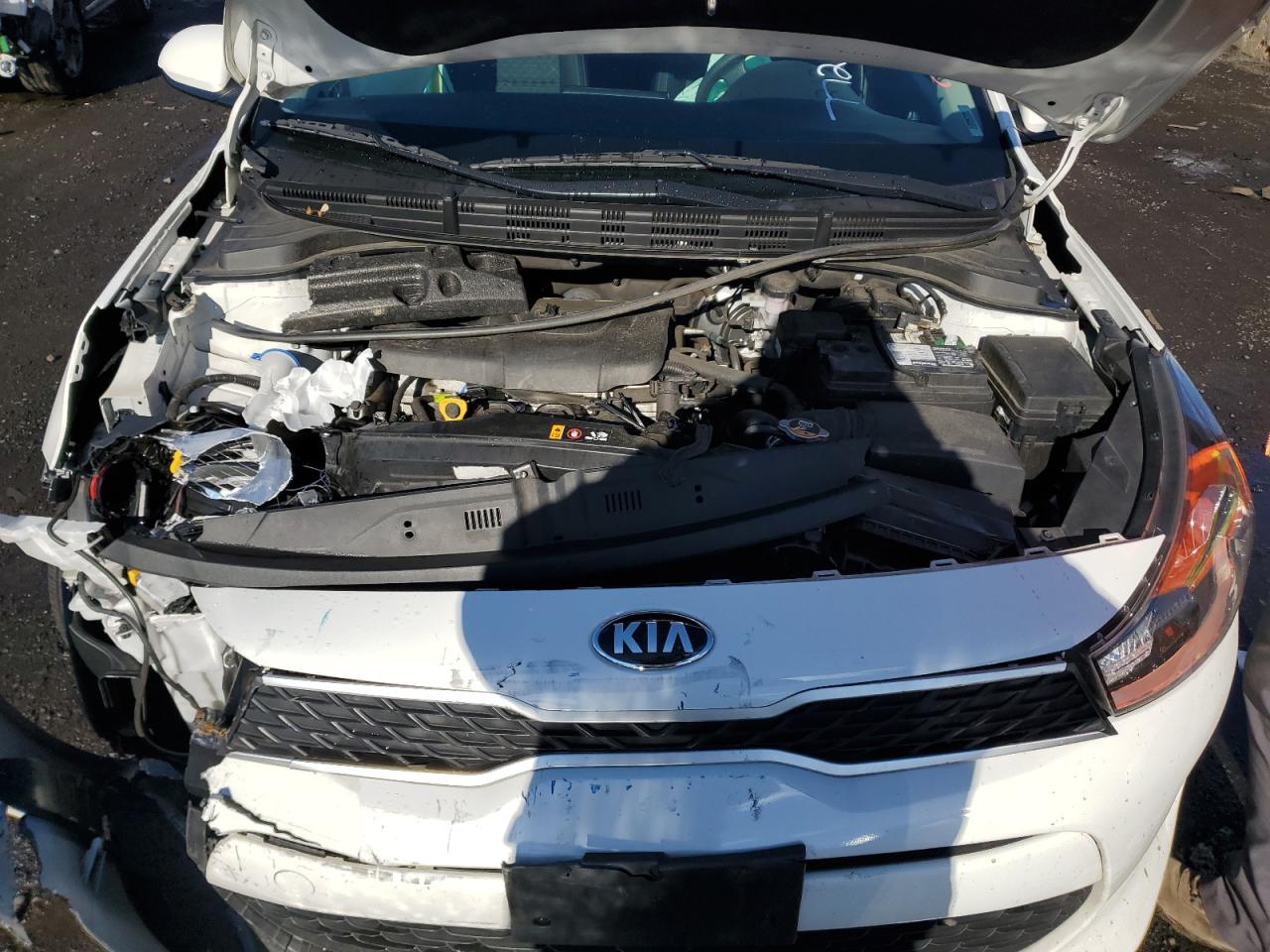 Photo 10 VIN: 3KPA24AB9KE203873 - KIA RIO 