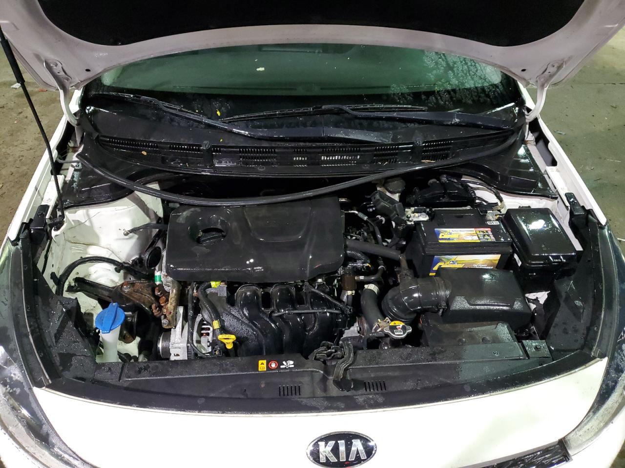 Photo 10 VIN: 3KPA24ABXJE066666 - KIA RIO 