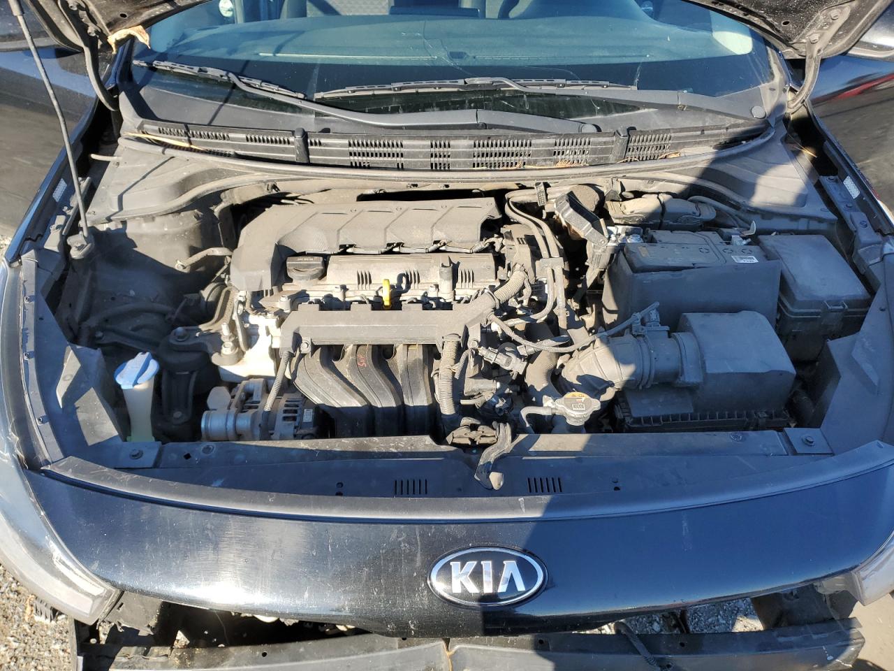 Photo 10 VIN: 3KPA24AD4LE356924 - KIA RIO 