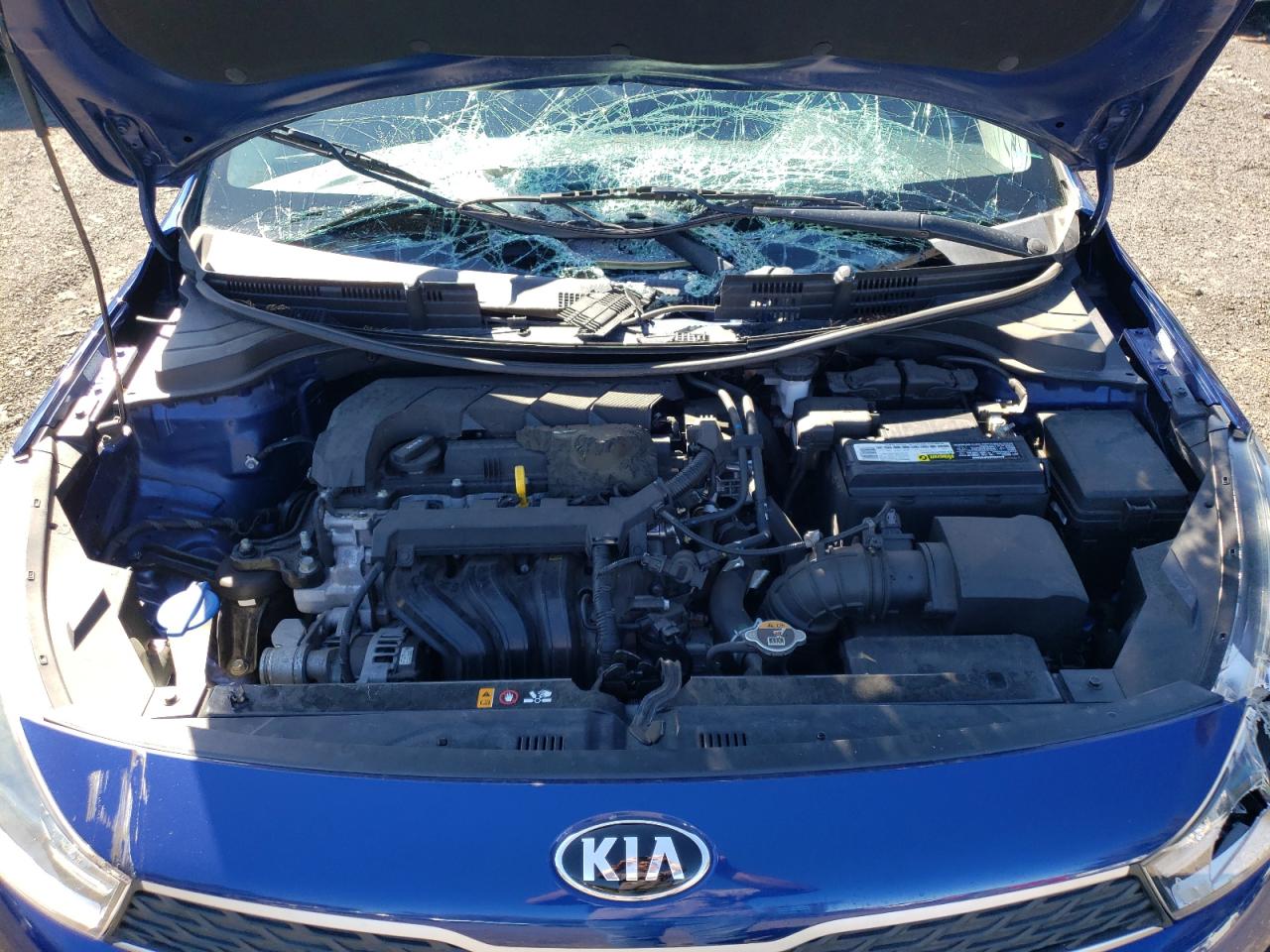 Photo 10 VIN: 3KPA24AD8LE283511 - KIA RIO 