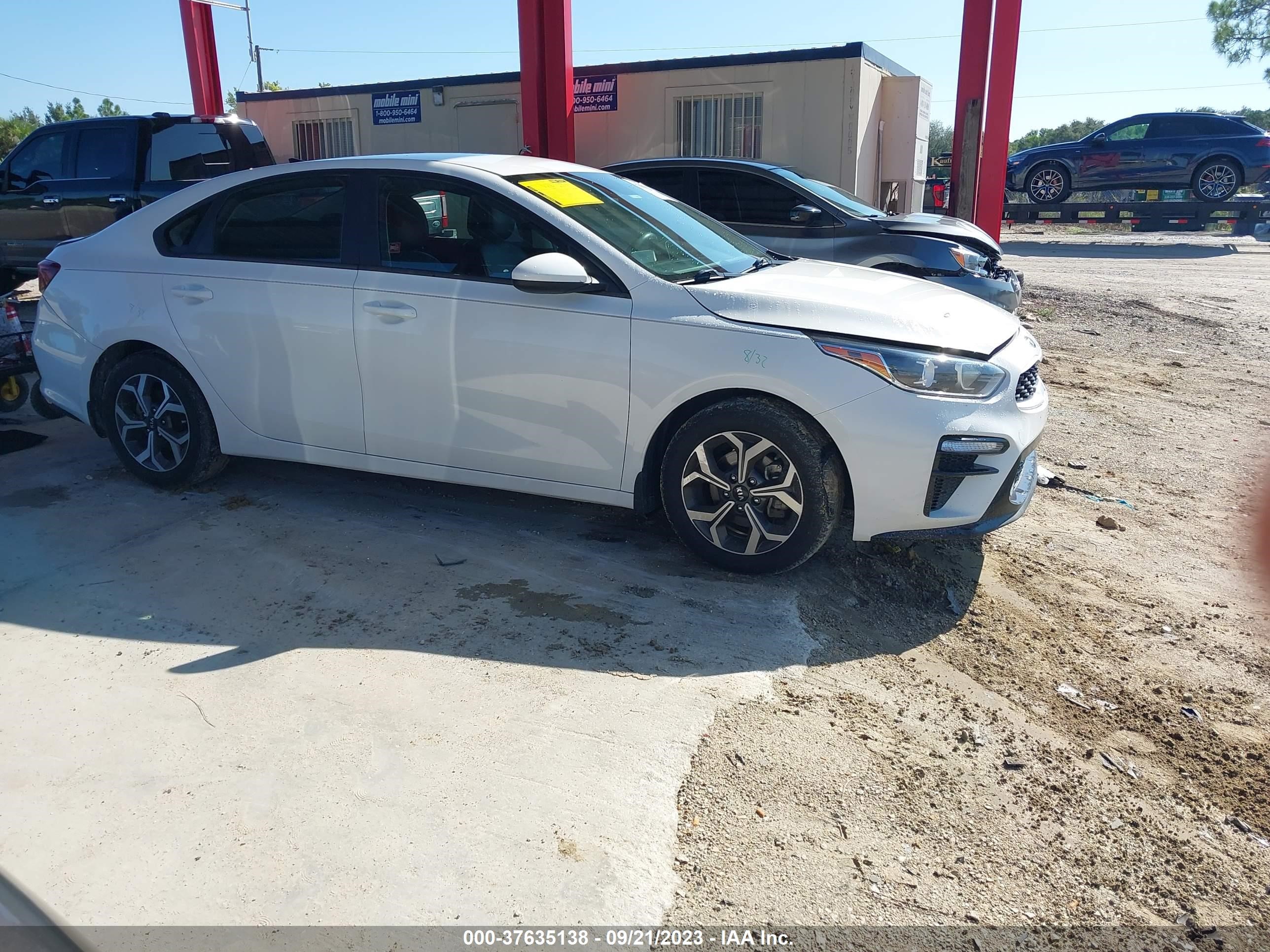 Photo 12 VIN: 3KPF24AD0KE127872 - KIA FORTE 