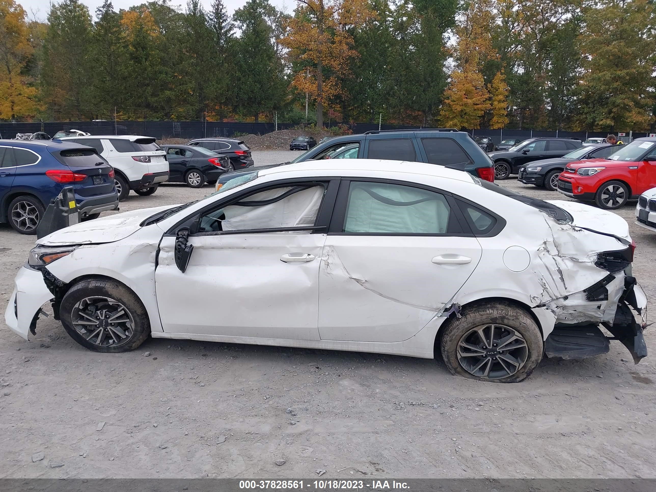 Photo 12 VIN: 3KPF24AD0PE538177 - KIA FORTE 