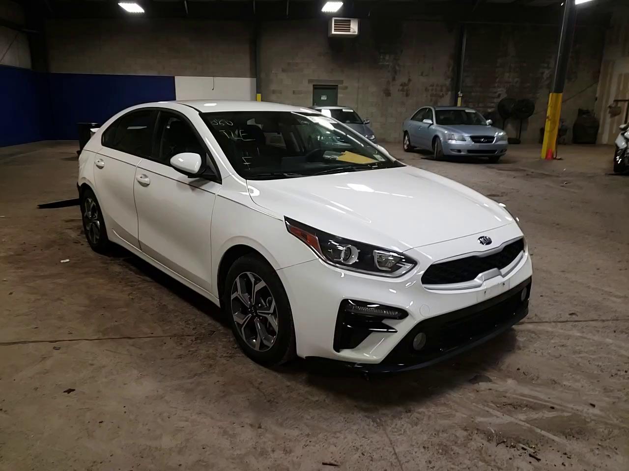 Photo 10 VIN: 3KPF24AD1LE156038 - KIA FORTE FE 