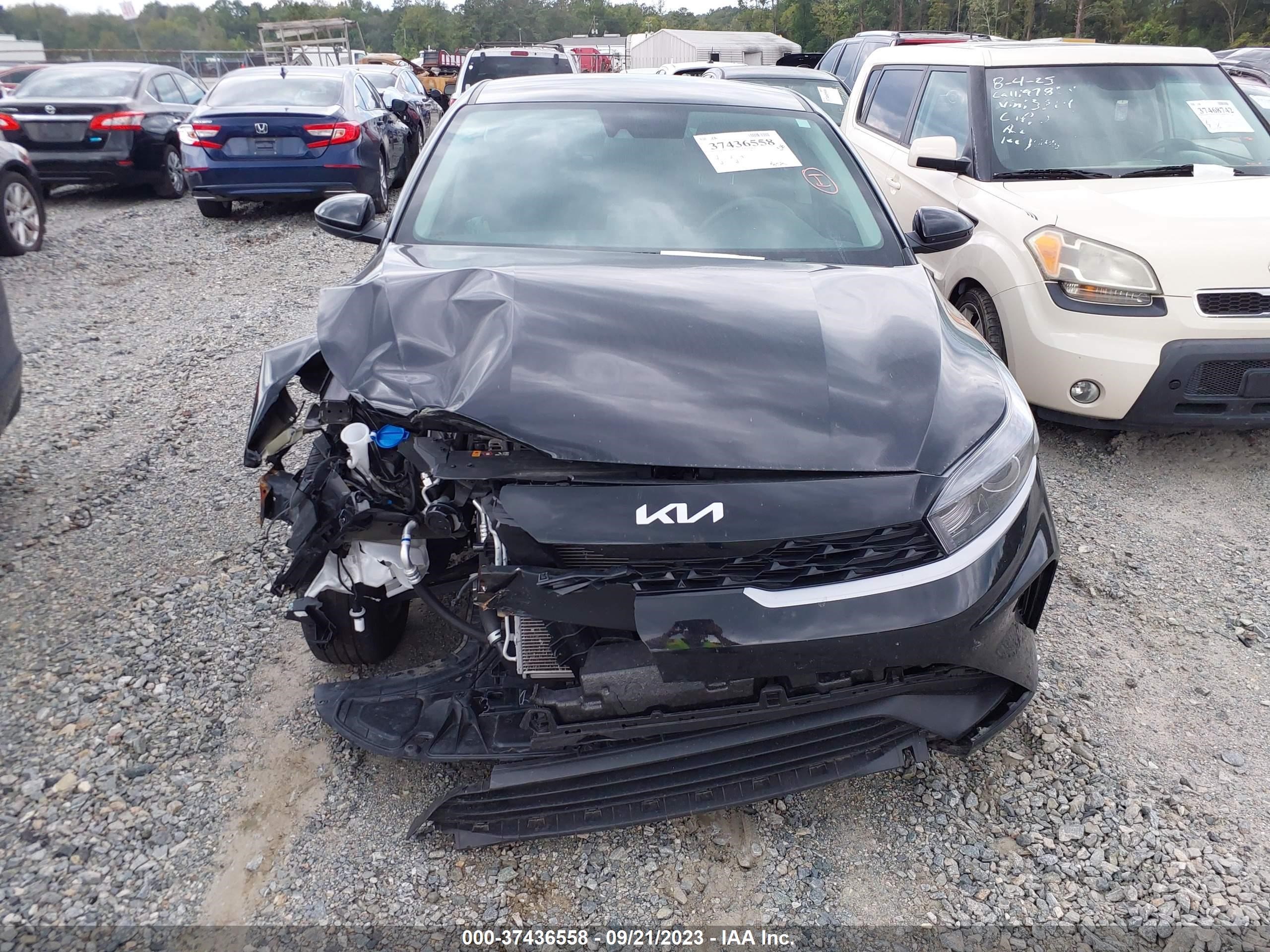 Photo 11 VIN: 3KPF24AD1PE566067 - KIA FORTE 