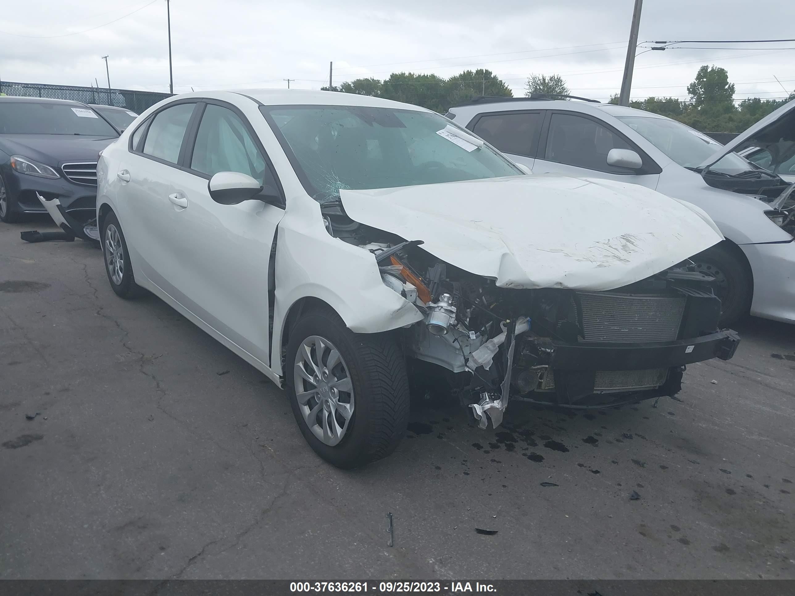 Photo 12 VIN: 3KPF24AD2ME298917 - KIA FORTE 