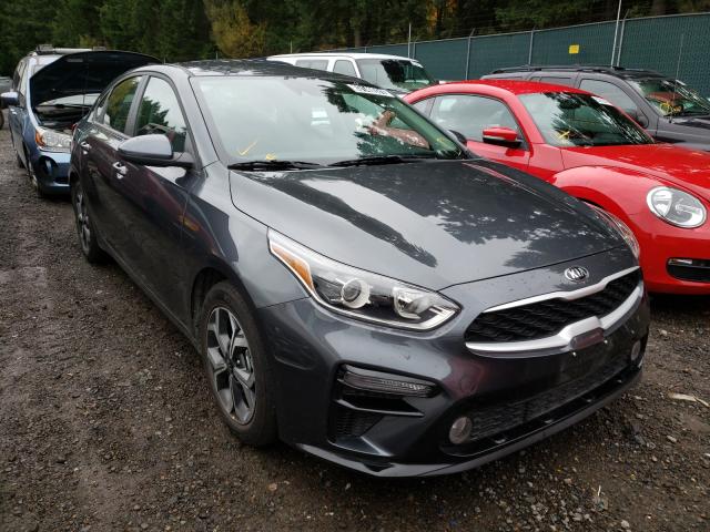 Photo 0 VIN: 3KPF24AD2ME364768 - KIA FORTE FE 