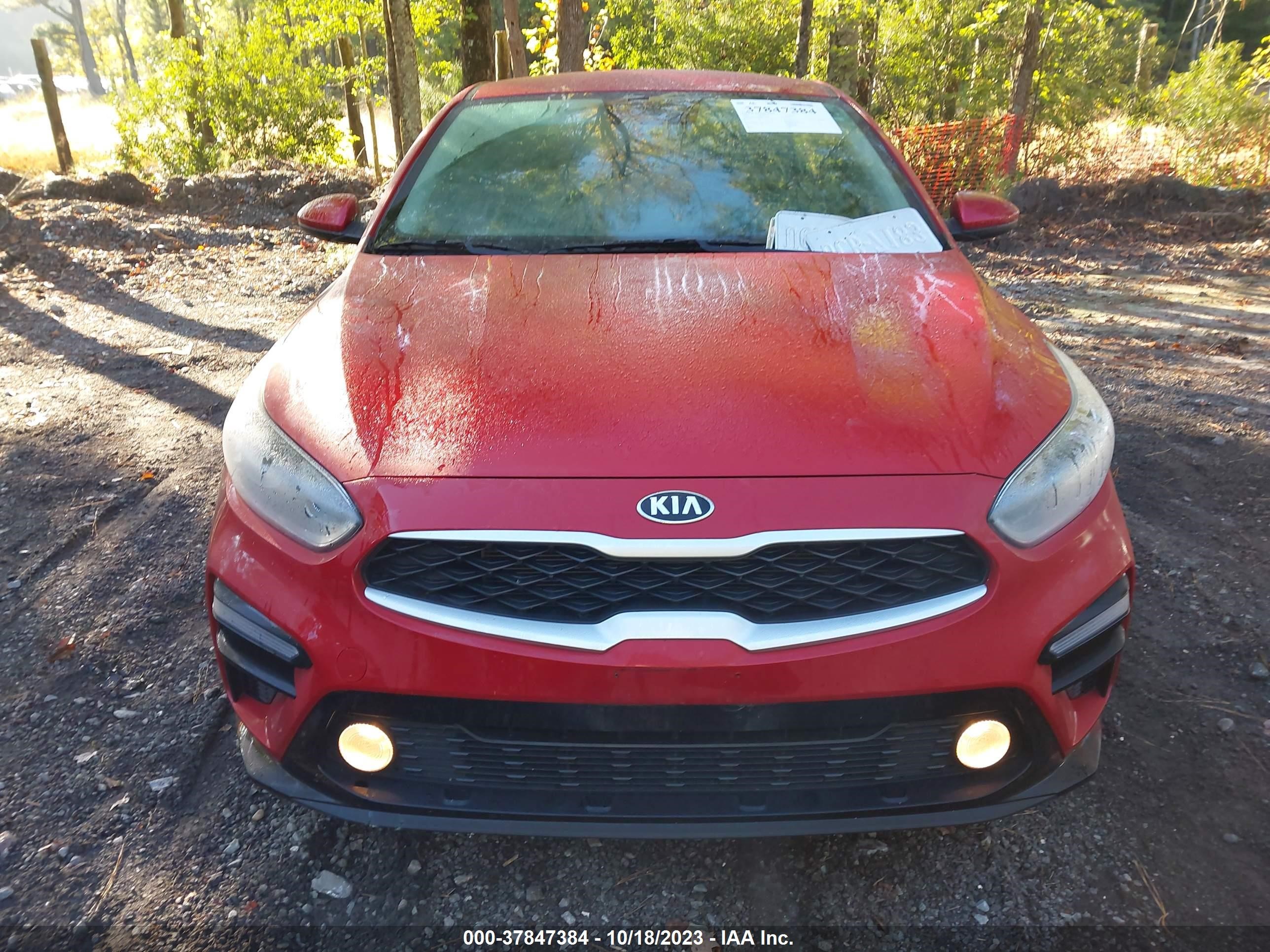 Photo 5 VIN: 3KPF24AD2ME373292 - KIA FORTE 