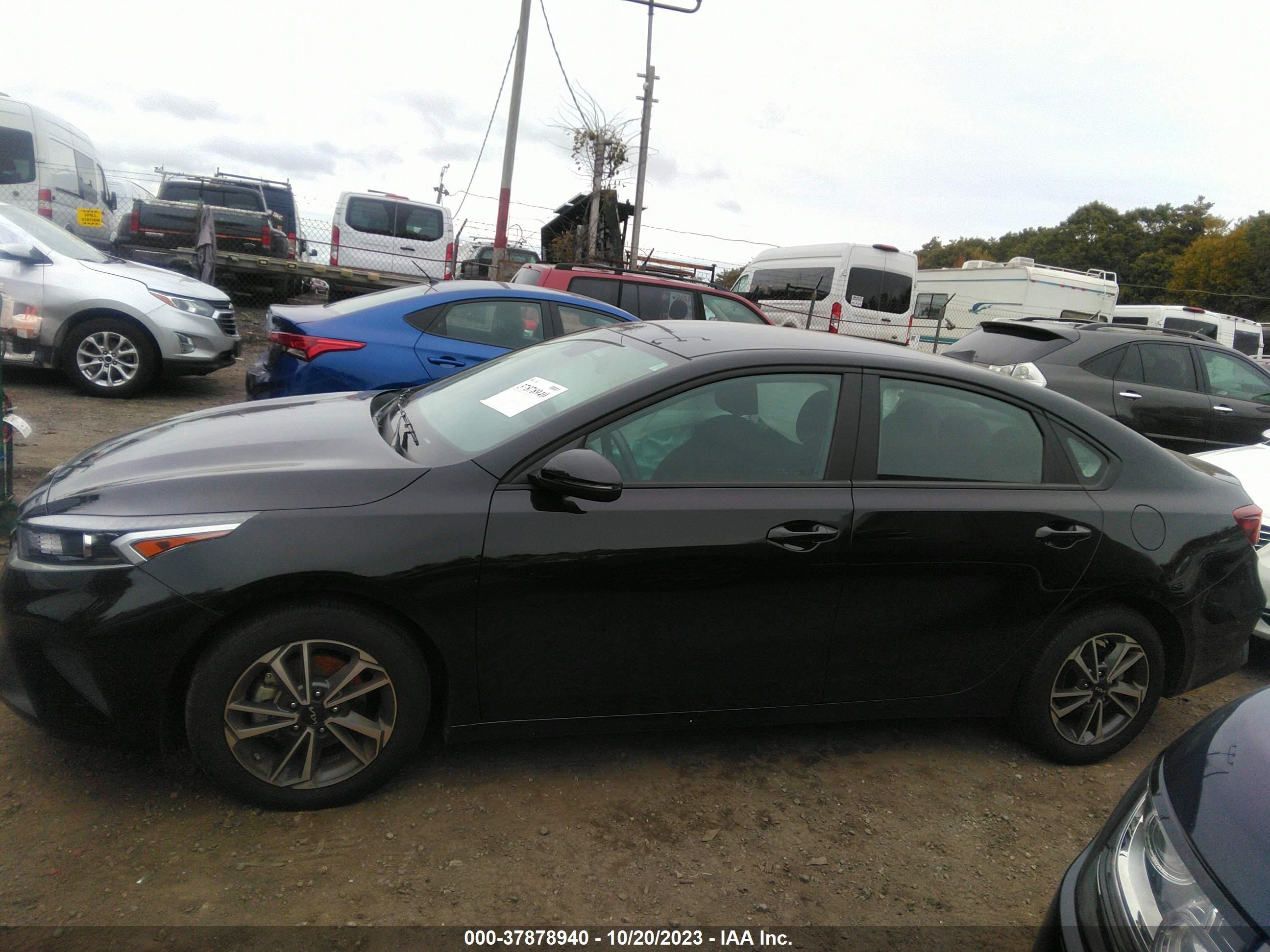 Photo 12 VIN: 3KPF24AD2PE553988 - KIA FORTE 