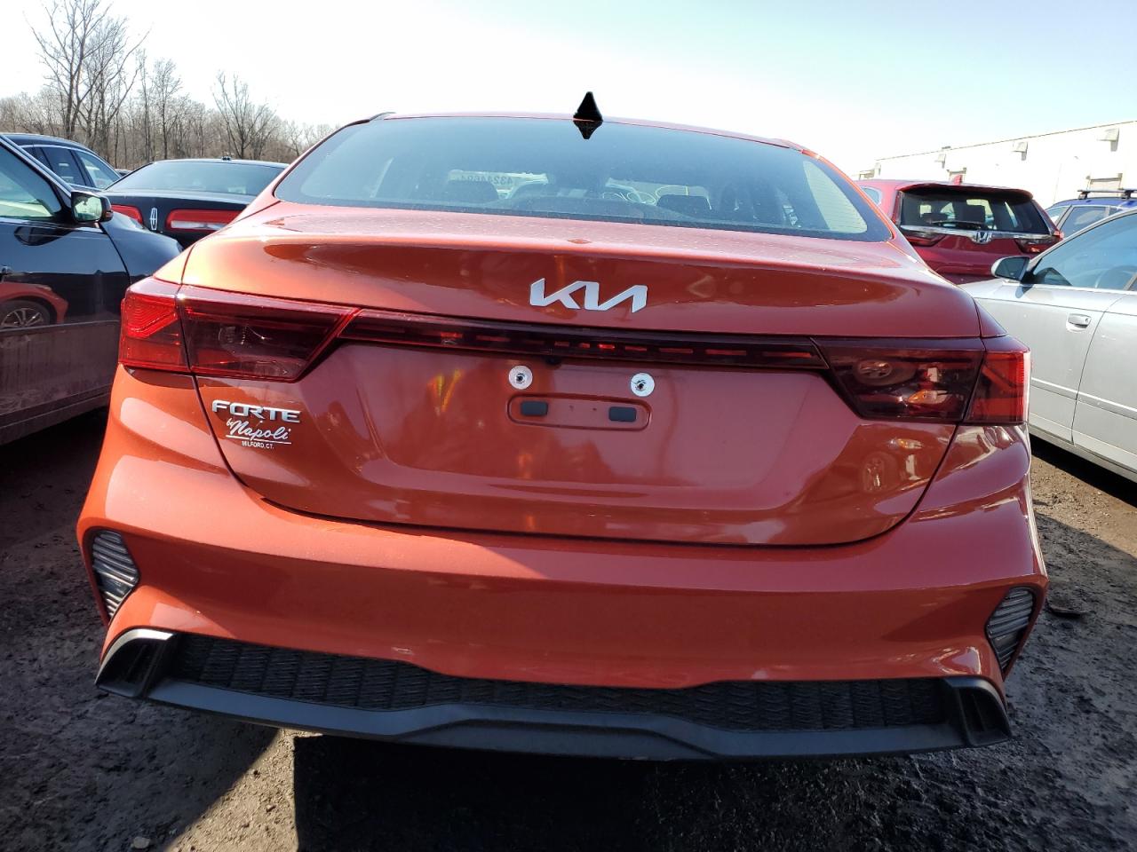 Photo 5 VIN: 3KPF24AD3NE494494 - KIA FORTE 