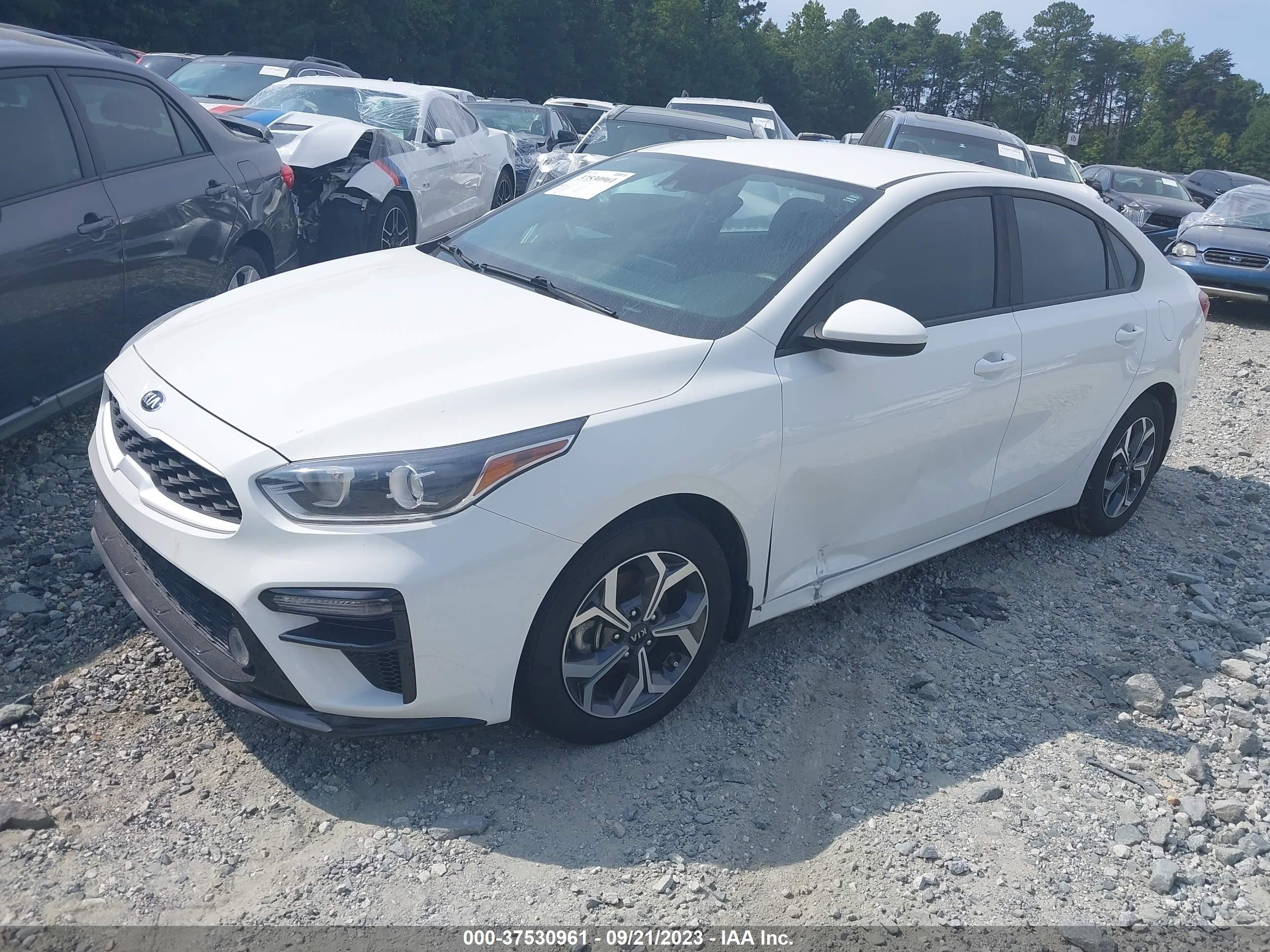 Photo 1 VIN: 3KPF24AD5KE059620 - KIA FORTE 