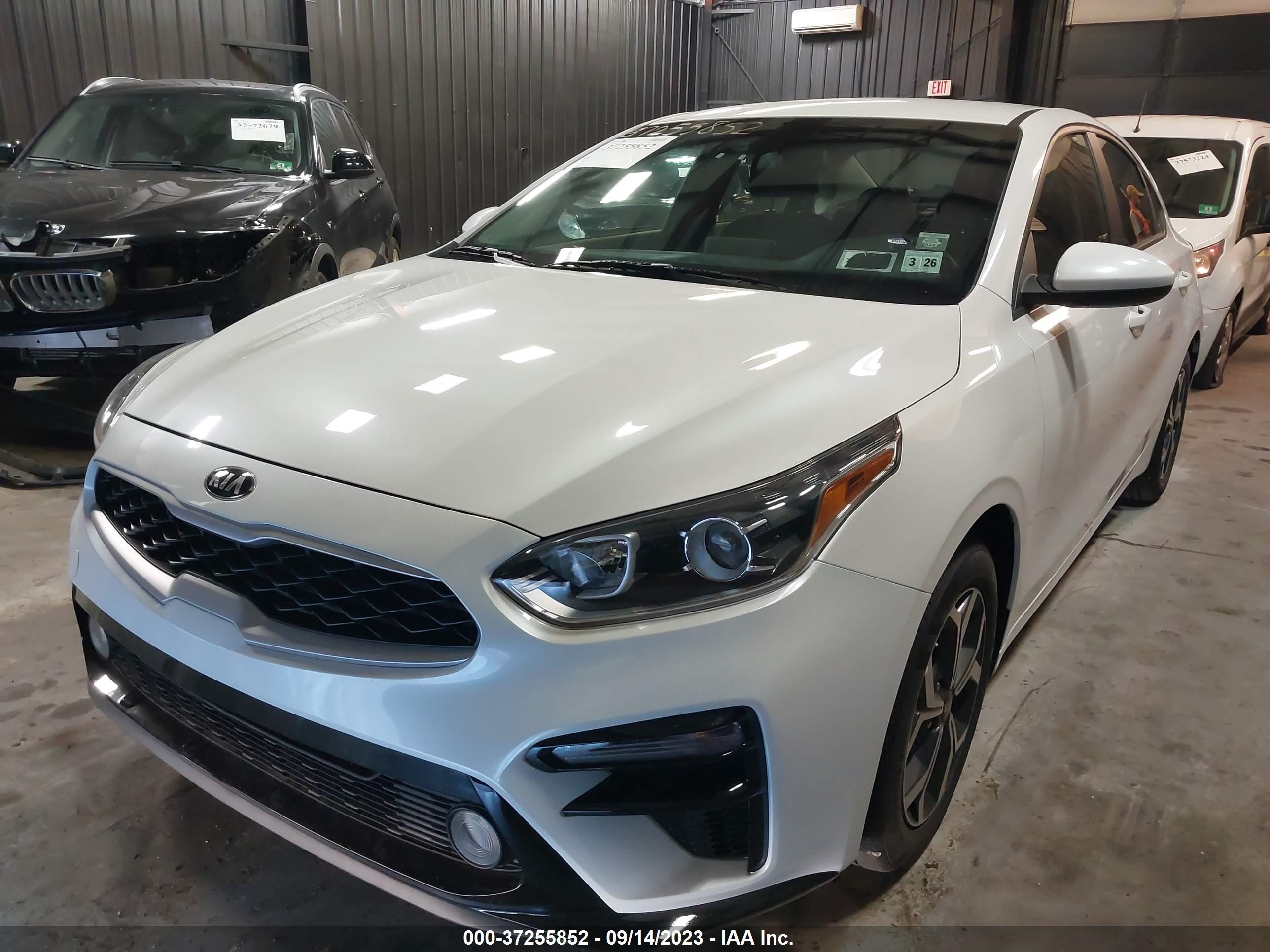 Photo 1 VIN: 3KPF24AD5ME314253 - KIA FORTE 