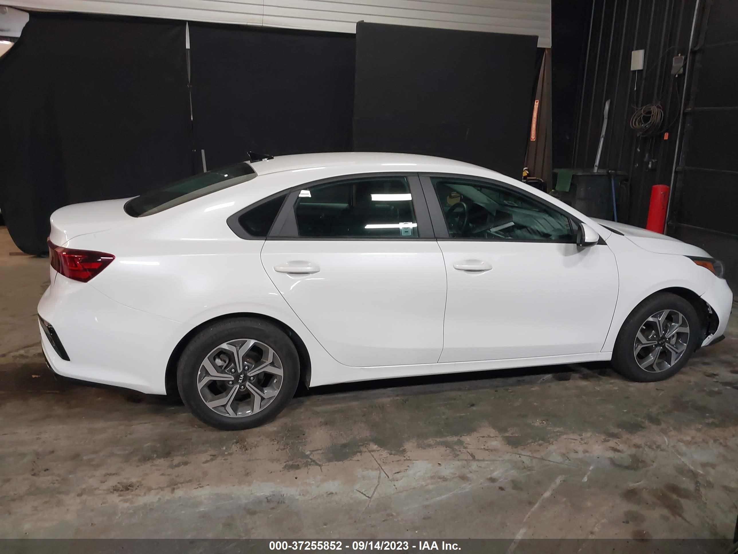 Photo 12 VIN: 3KPF24AD5ME314253 - KIA FORTE 