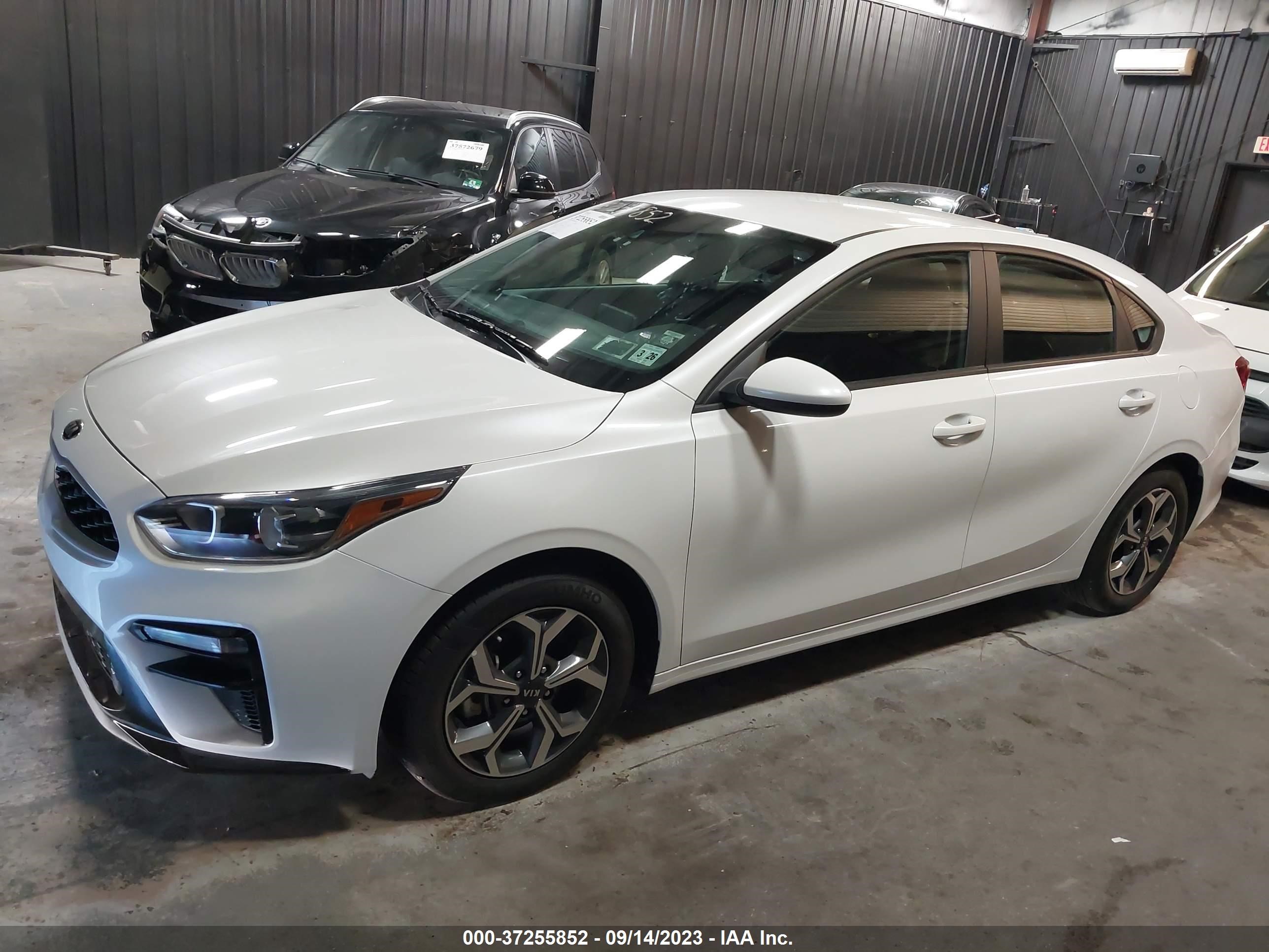 Photo 13 VIN: 3KPF24AD5ME314253 - KIA FORTE 