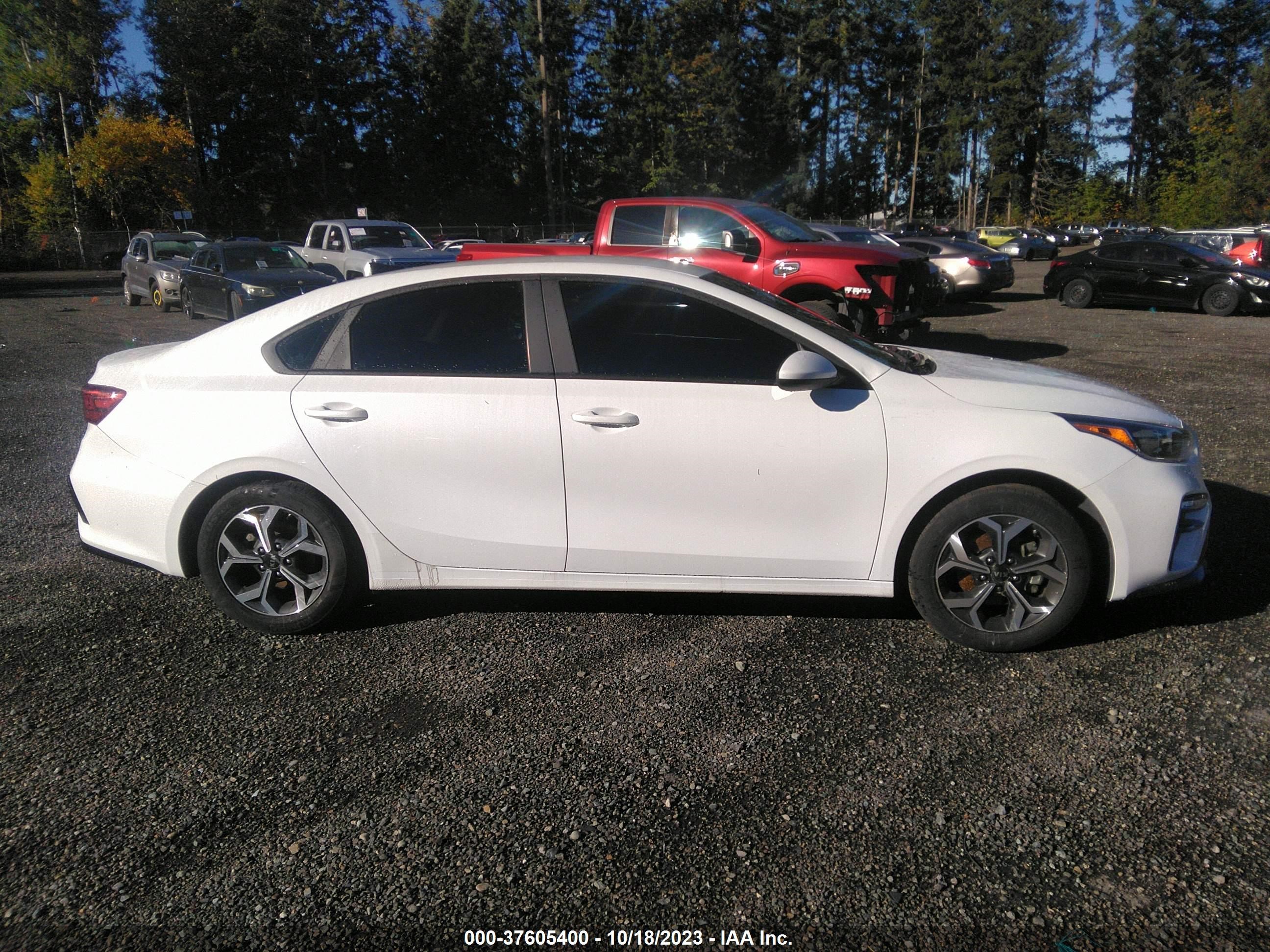 Photo 12 VIN: 3KPF24AD6ME325200 - KIA FORTE 