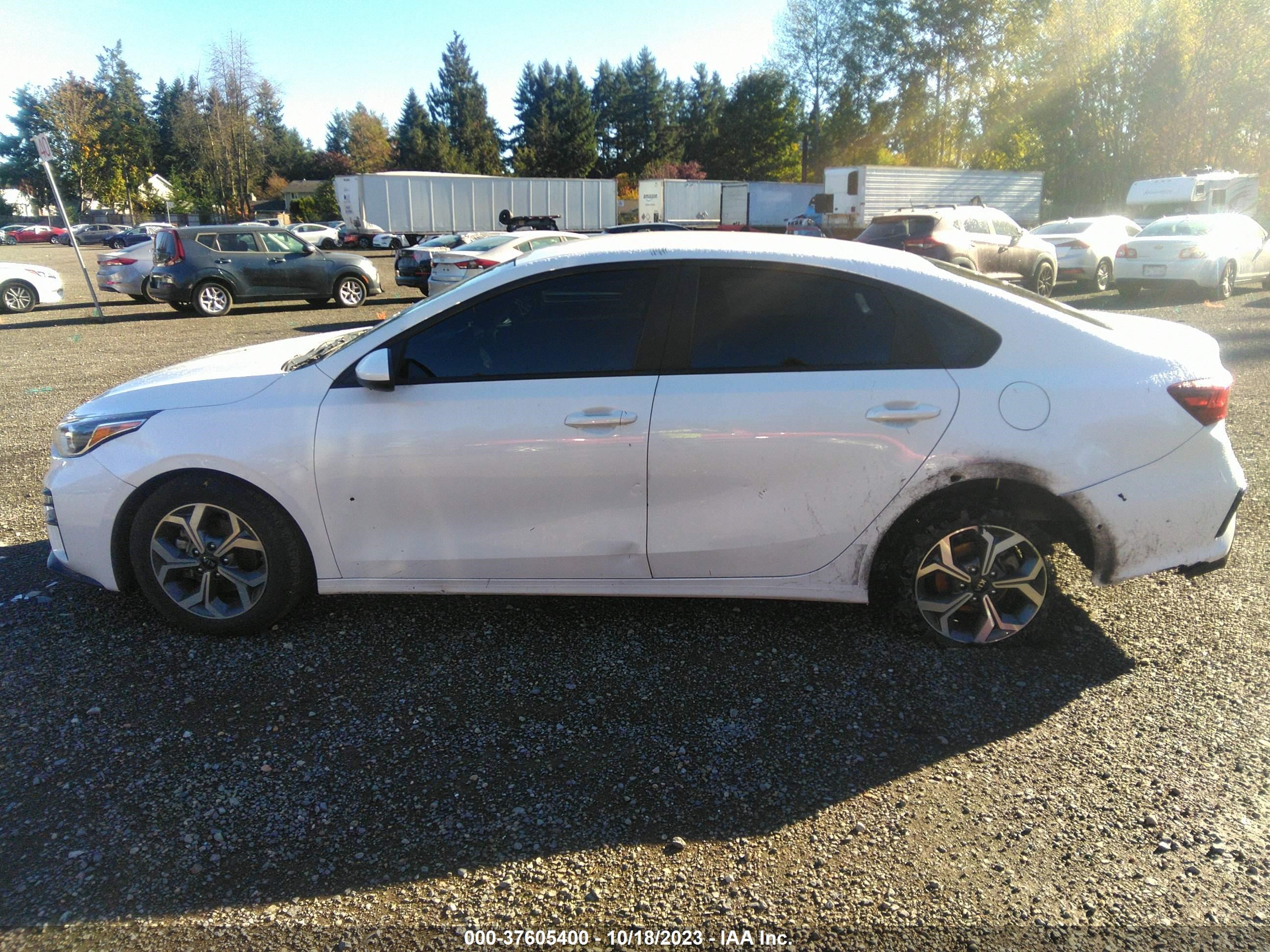 Photo 13 VIN: 3KPF24AD6ME325200 - KIA FORTE 