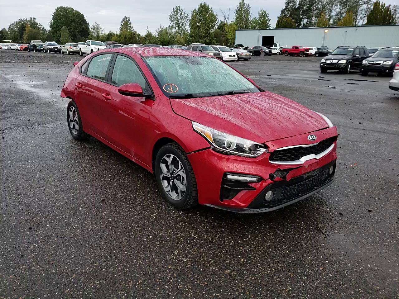 Photo 10 VIN: 3KPF24AD7KE083482 - KIA FORTE FE 