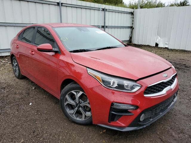 Photo 0 VIN: 3KPF24AD7LE255835 - KIA FORTE FE 