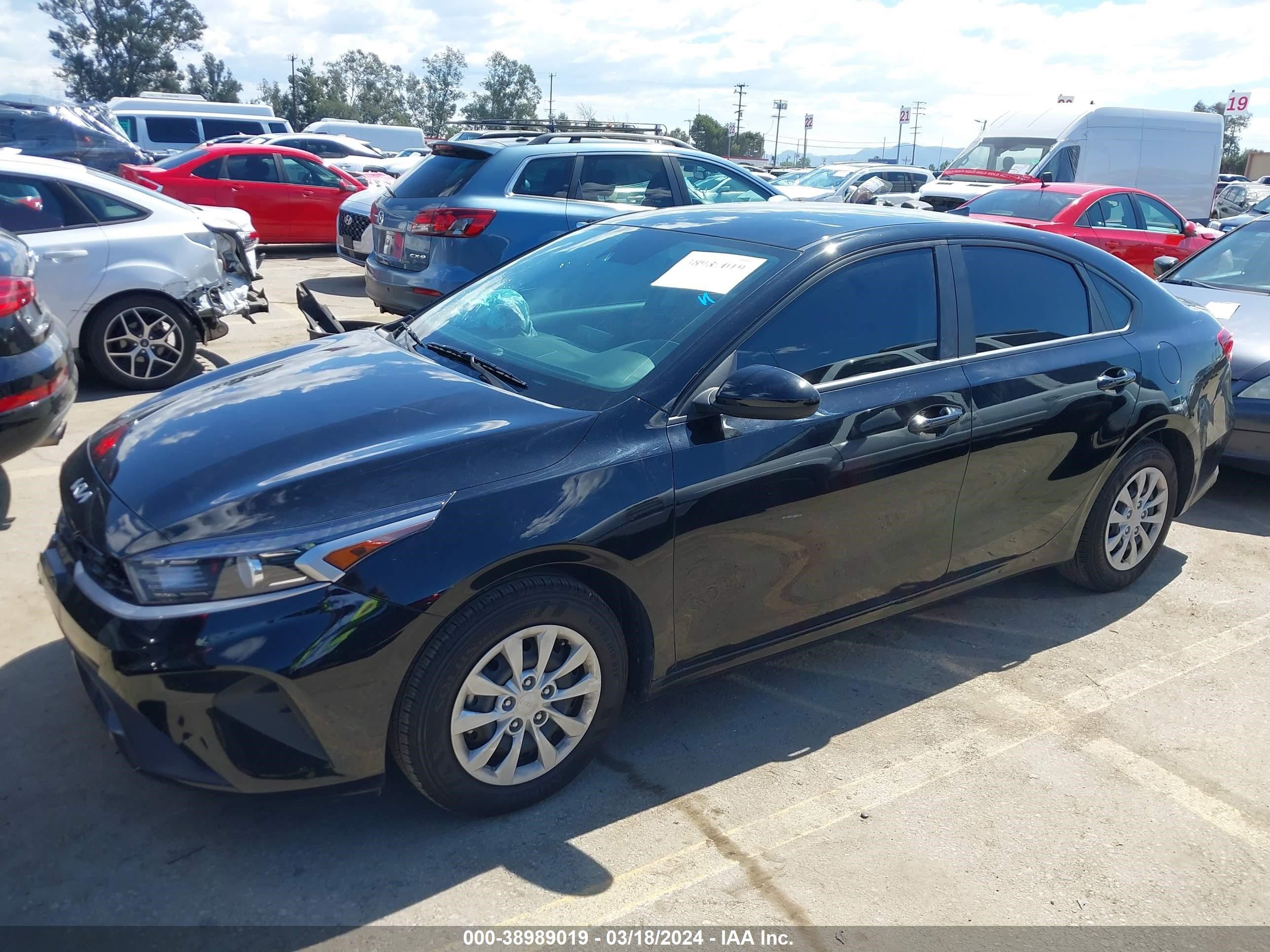 Photo 13 VIN: 3KPF24AD7PE565604 - KIA FORTE 