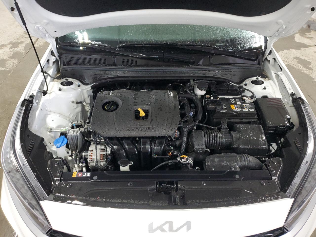 Photo 10 VIN: 3KPF24AD7PE616020 - KIA FORTE 