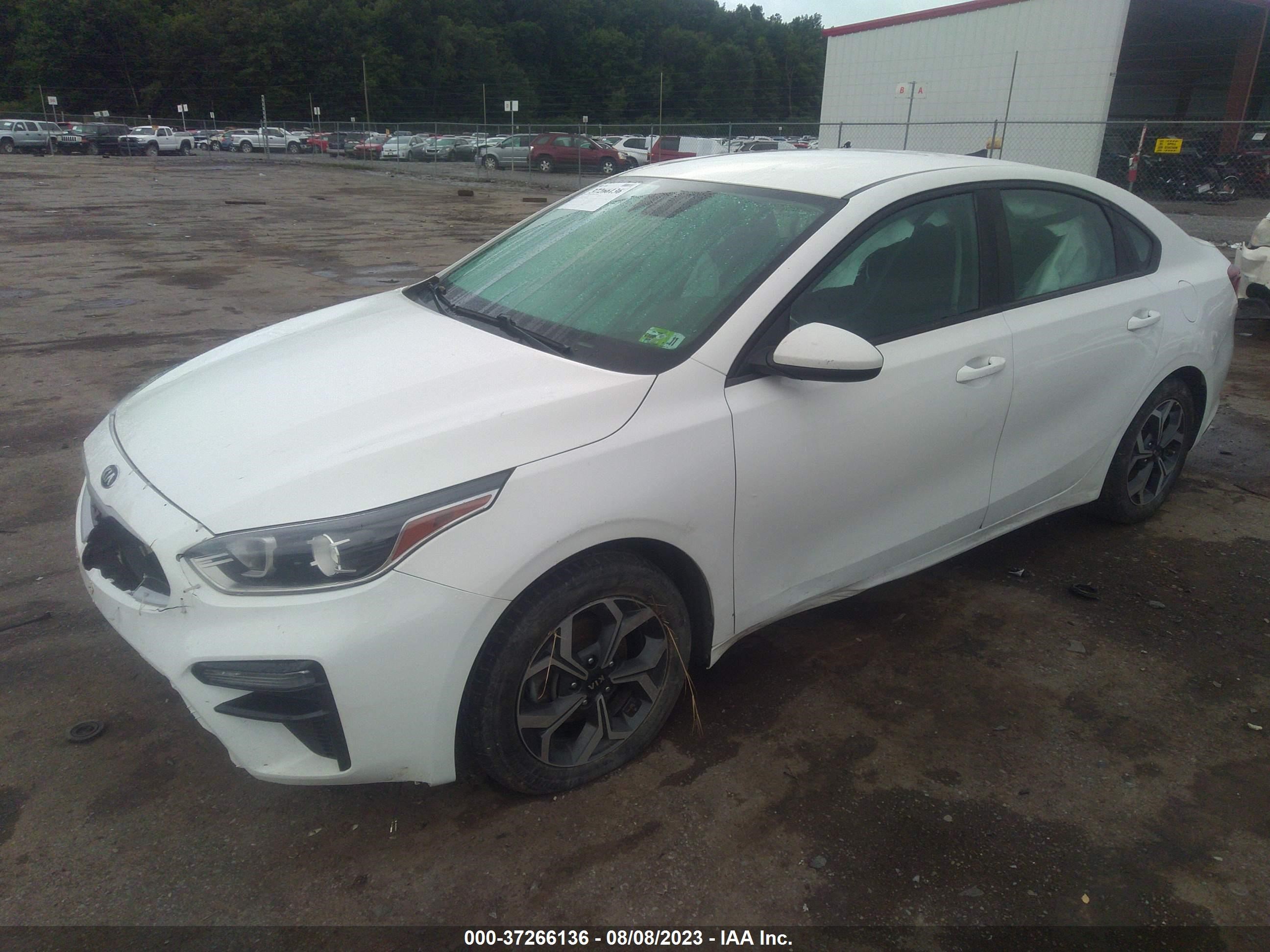 Photo 1 VIN: 3KPF24AD8KE074225 - KIA FORTE 