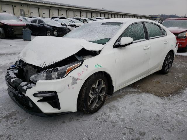 Photo 1 VIN: 3KPF24AD8LE214808 - KIA FORTE FE 