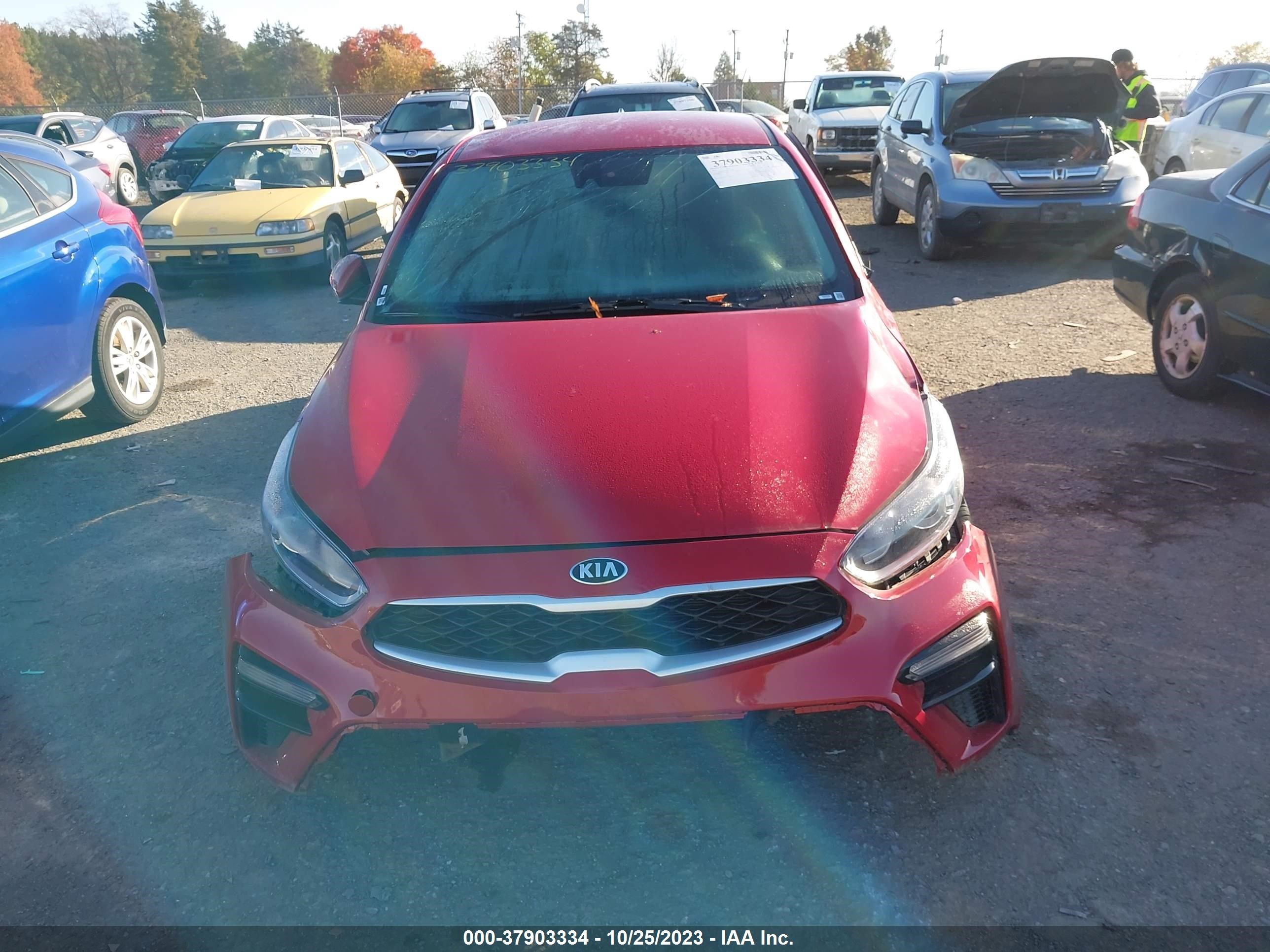 Photo 11 VIN: 3KPF24AD8LE247985 - KIA FORTE 