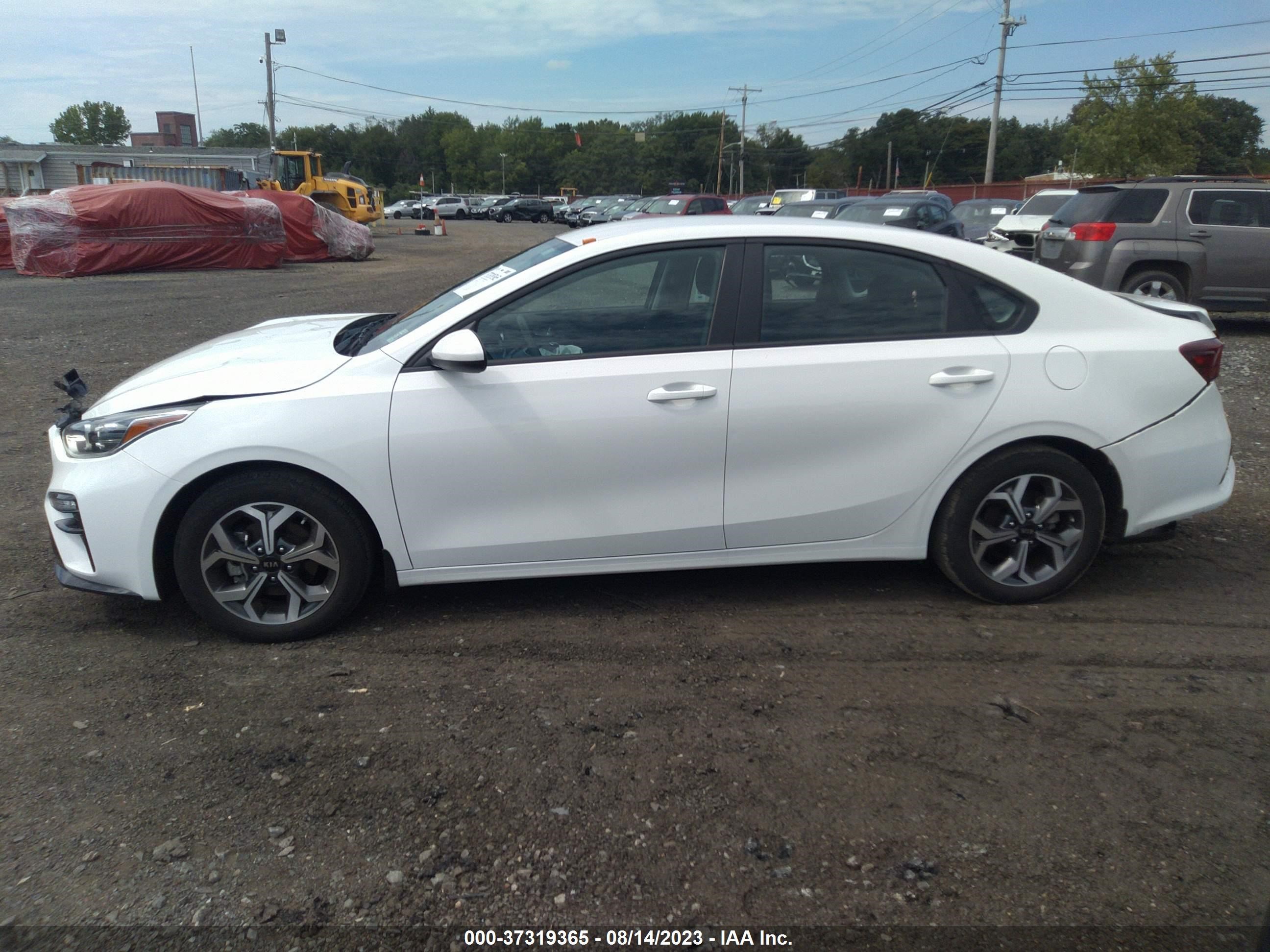 Photo 13 VIN: 3KPF24AD8ME325652 - KIA FORTE 