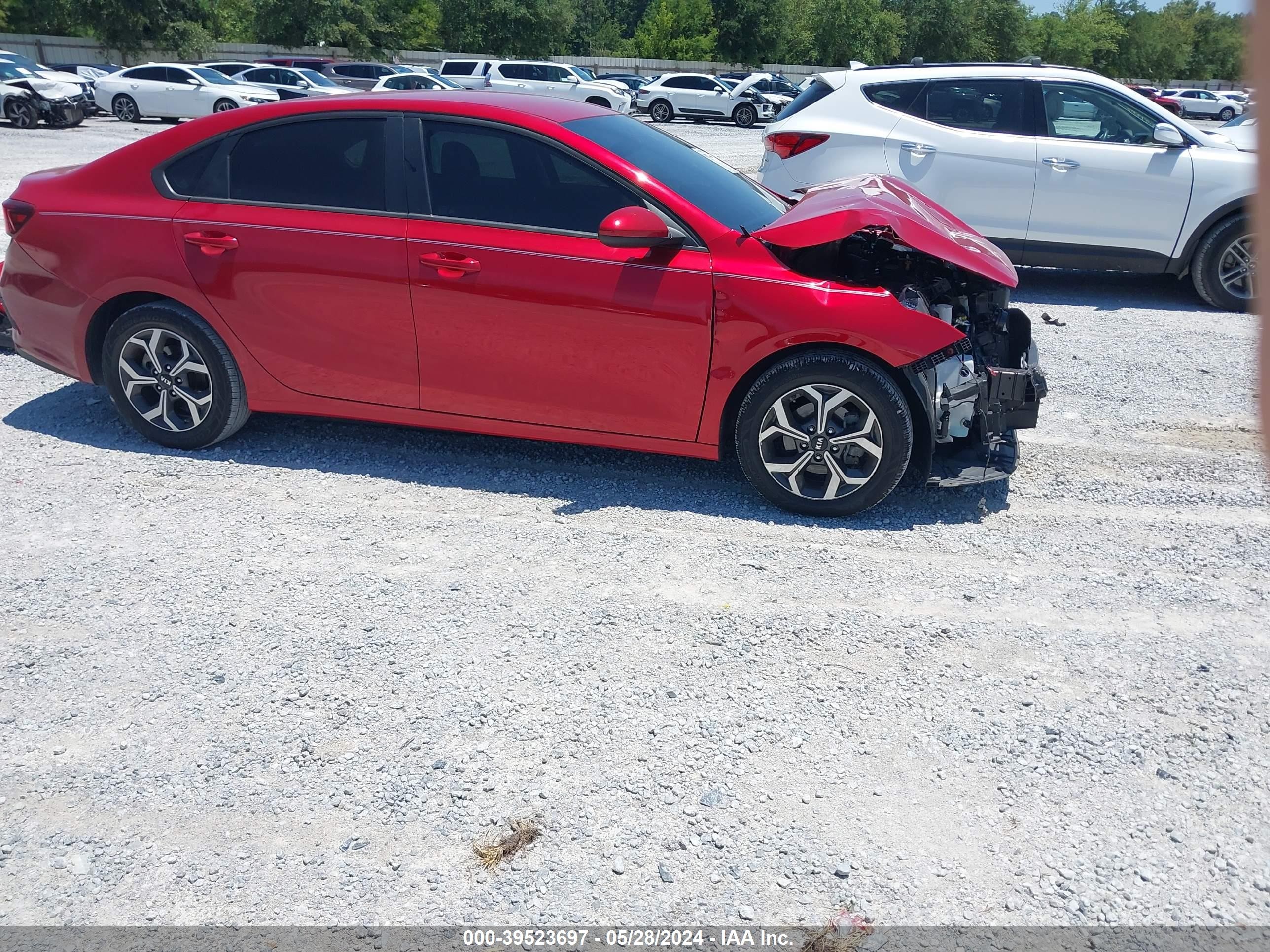 Photo 13 VIN: 3KPF24AD9ME335073 - KIA FORTE 