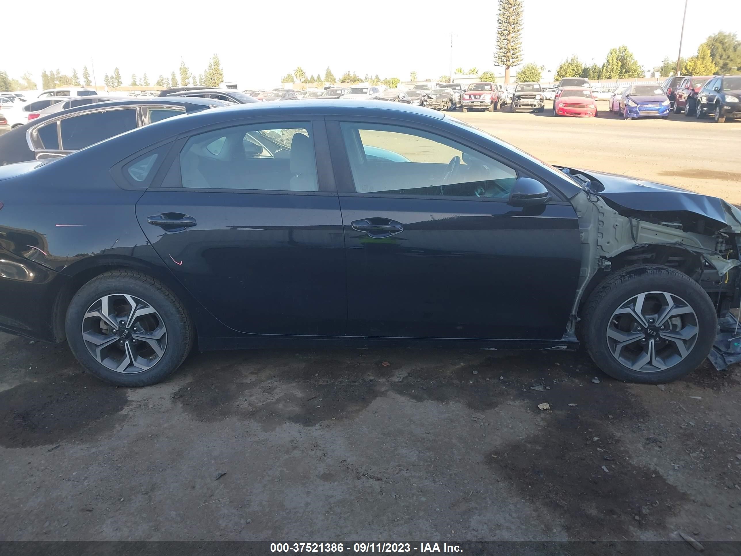 Photo 13 VIN: 3KPF24ADXKE036124 - KIA FORTE 