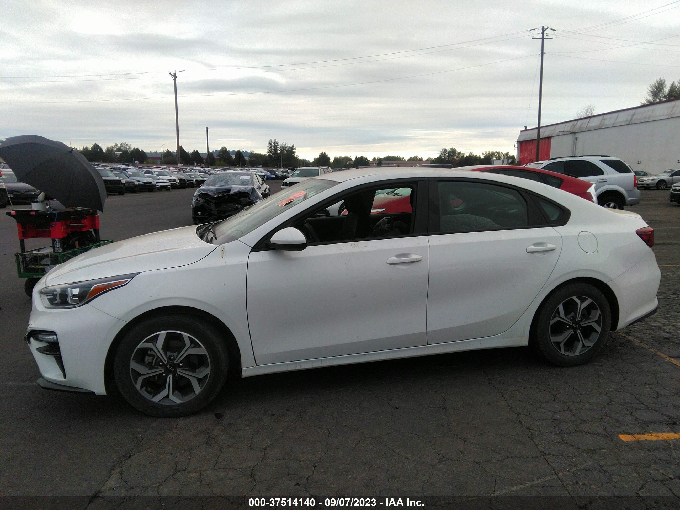 Photo 13 VIN: 3KPF24ADXKE043039 - KIA FORTE 