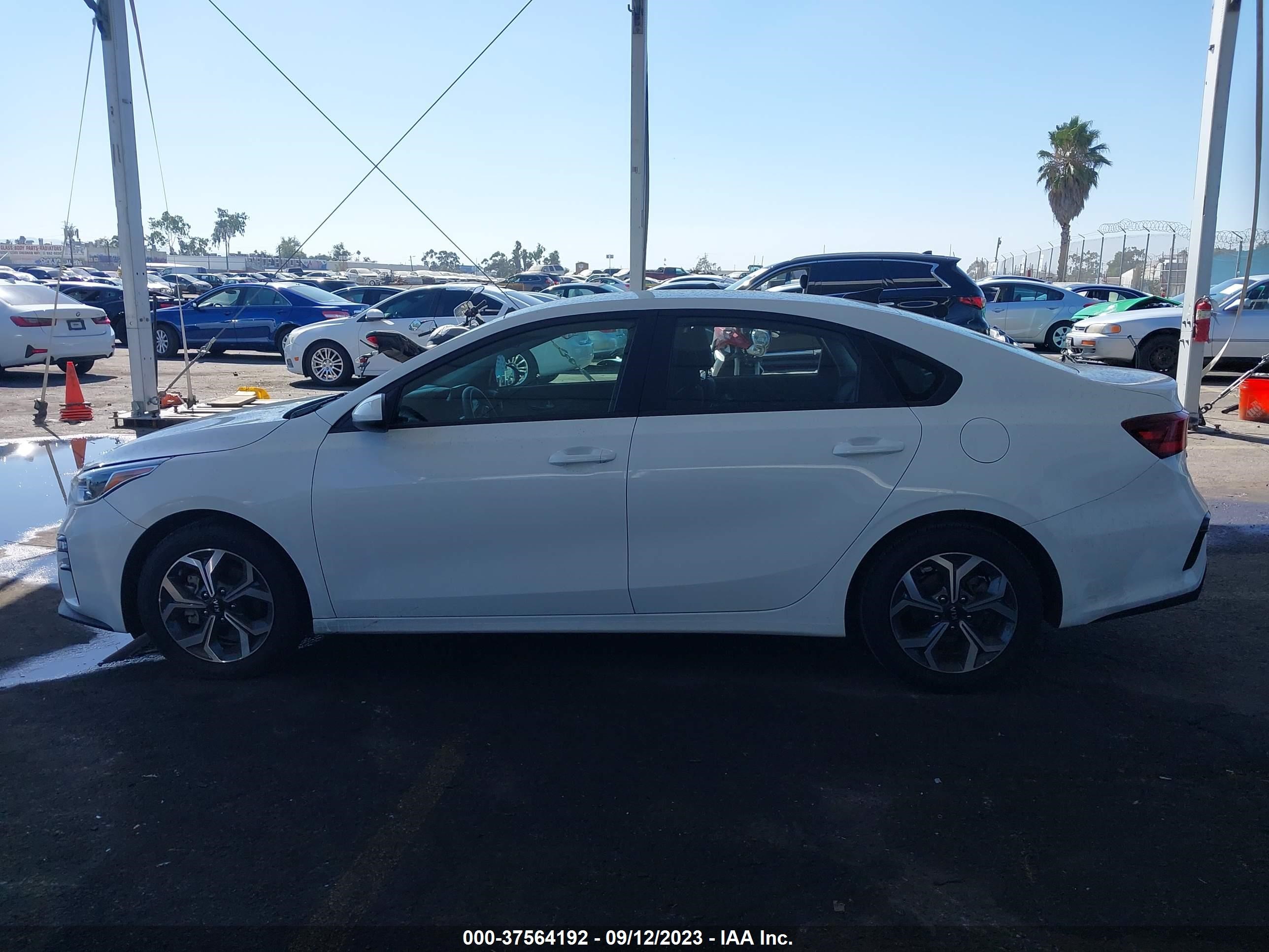 Photo 12 VIN: 3KPF24ADXME294890 - KIA FORTE 