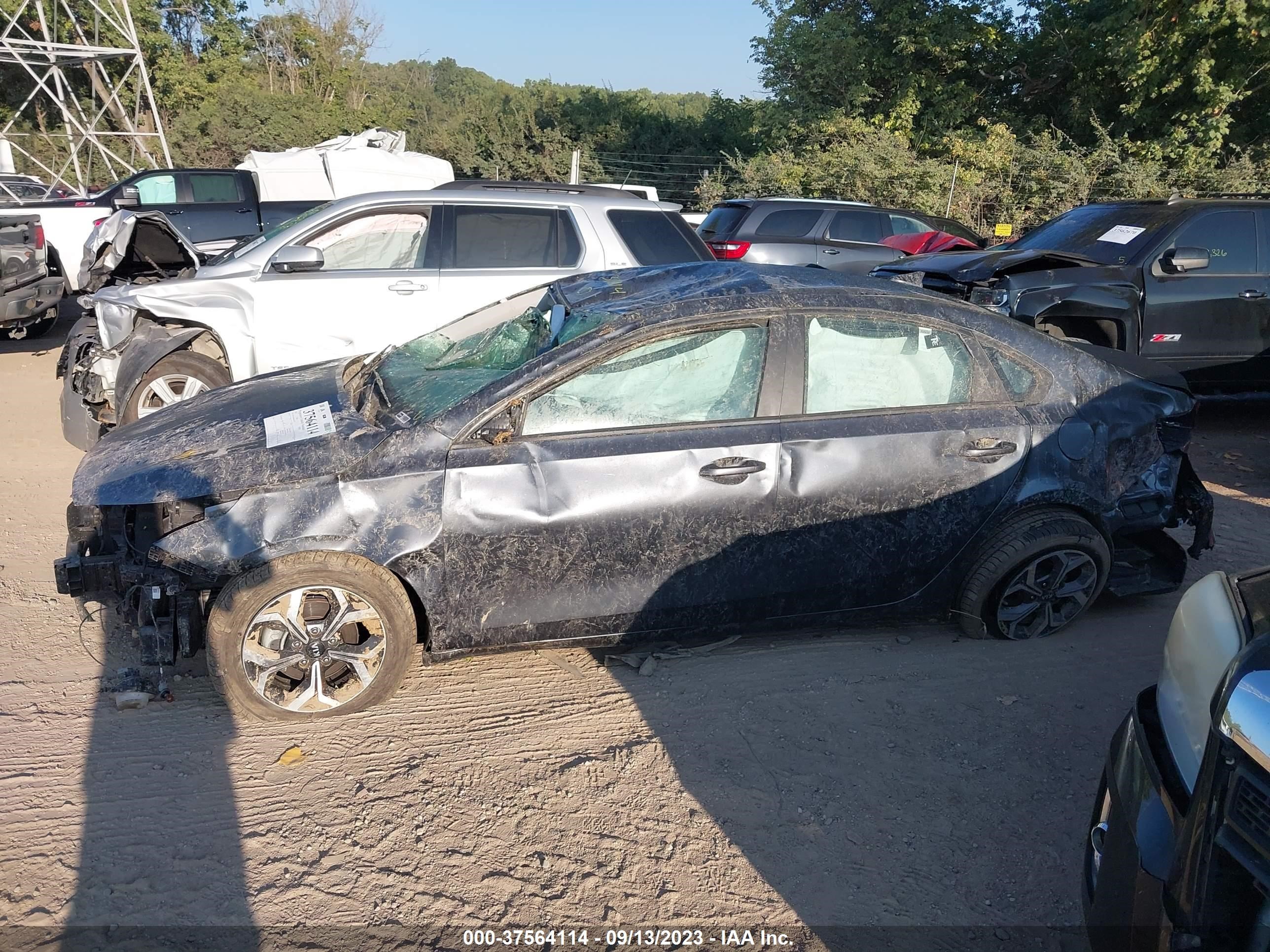 Photo 13 VIN: 3KPF24ADXME305225 - KIA FORTE 