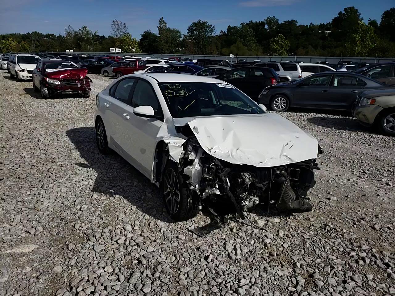 Photo 10 VIN: 3KPF34AD0KE123916 - KIA FORTE GT L 