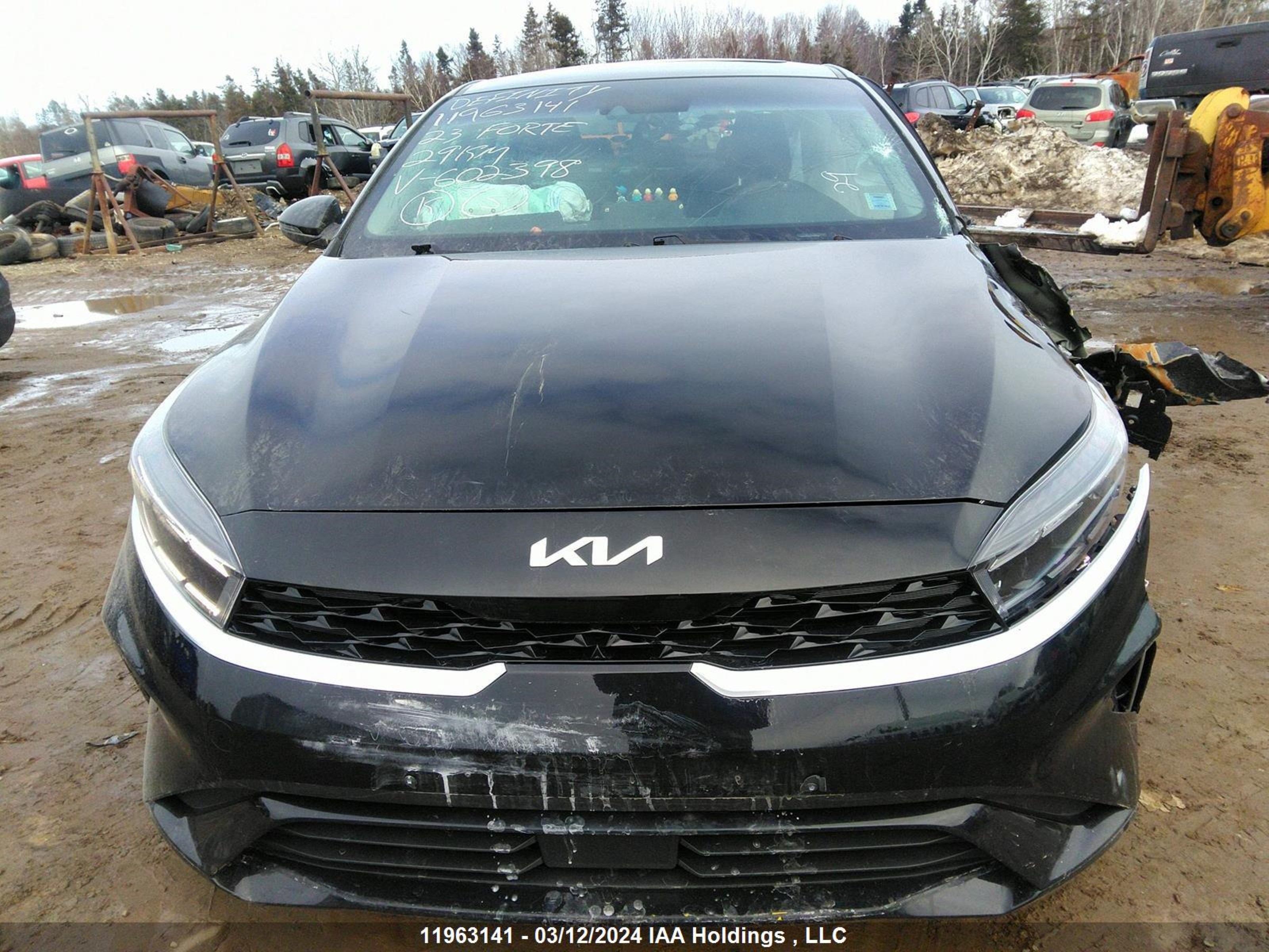 Photo 12 VIN: 3KPF34AD1PE602398 - KIA FORTE 