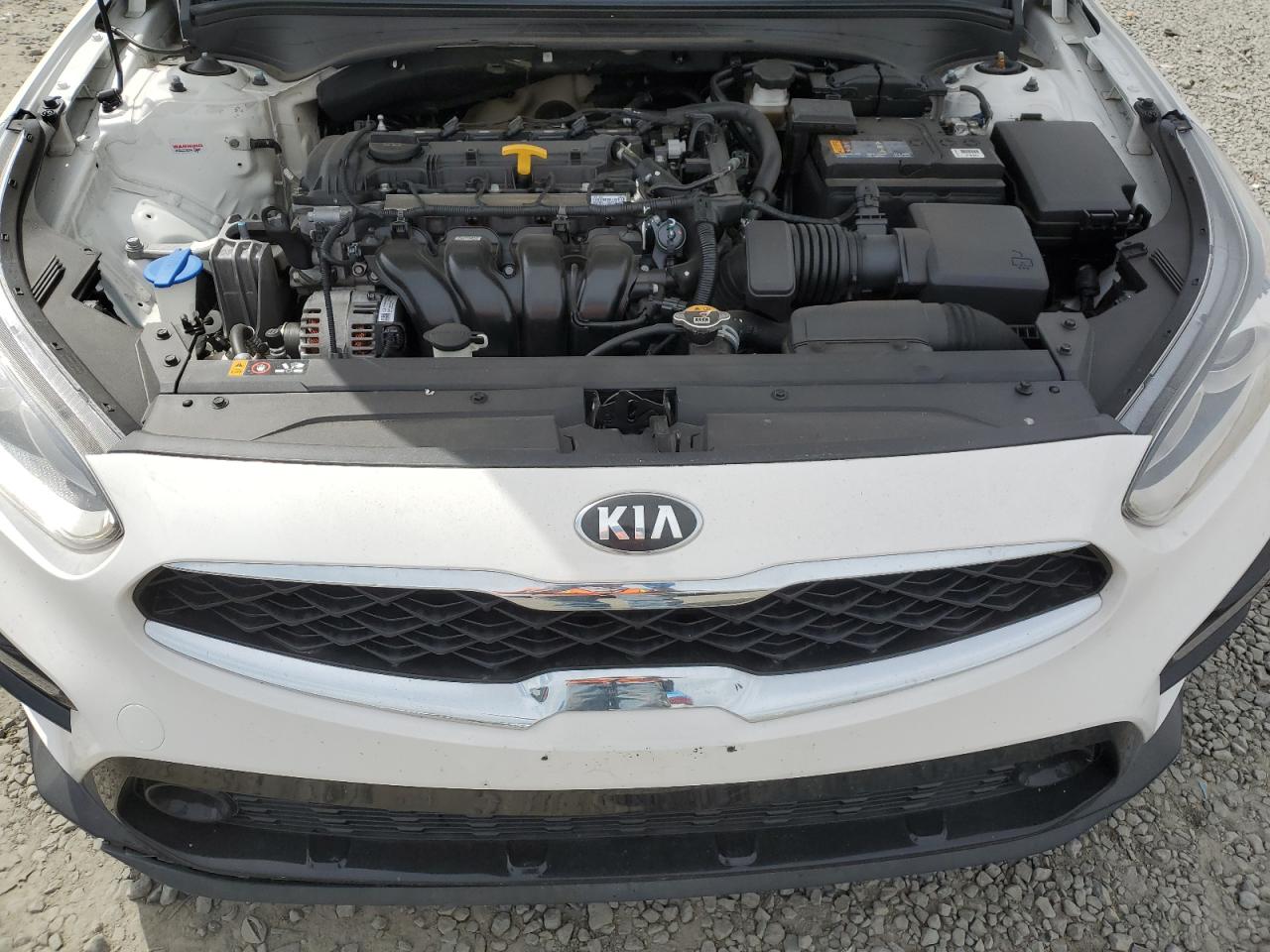 Photo 10 VIN: 3KPF34AD5KE135849 - KIA FORTE 