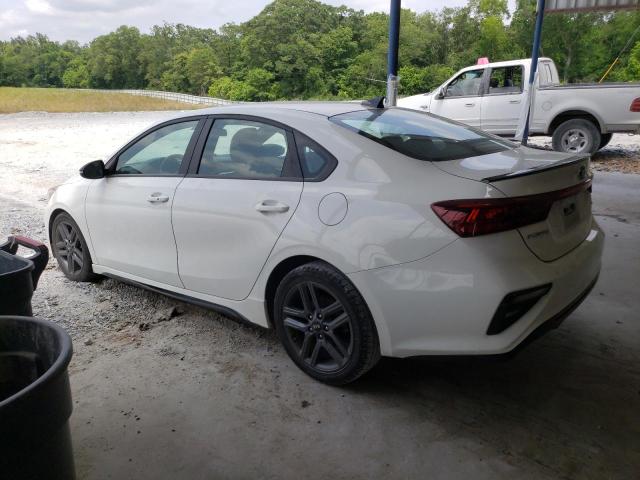 Photo 1 VIN: 3KPF34AD8LE249359 - KIA FORTE 