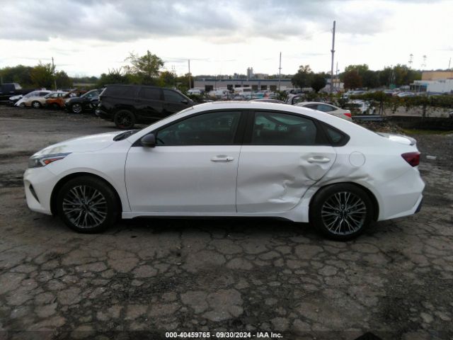 Photo 13 VIN: 3KPF54AD0PE668807 - KIA FORTE 