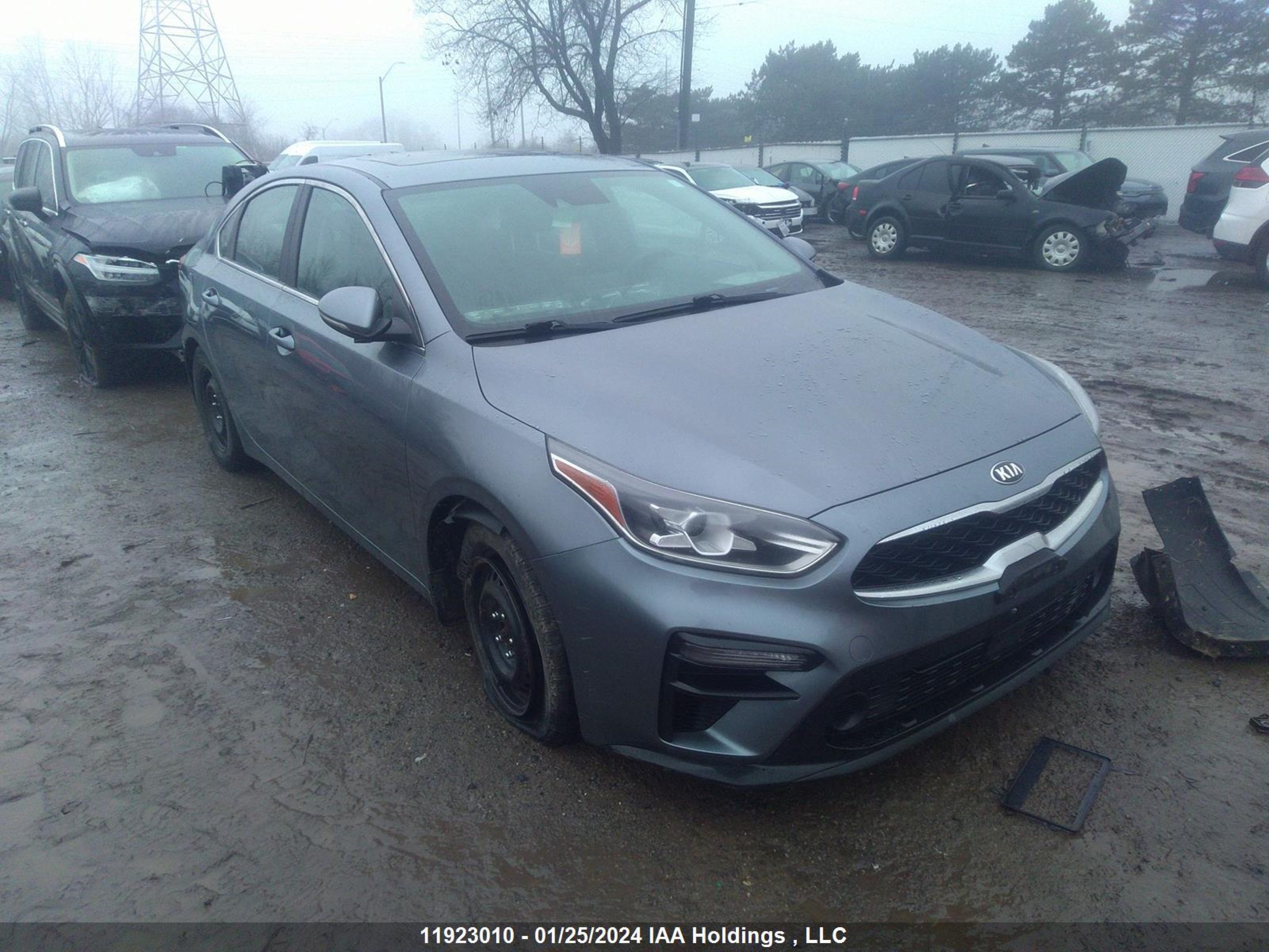 Photo 0 VIN: 3KPF54AD4LE220659 - KIA FORTE 