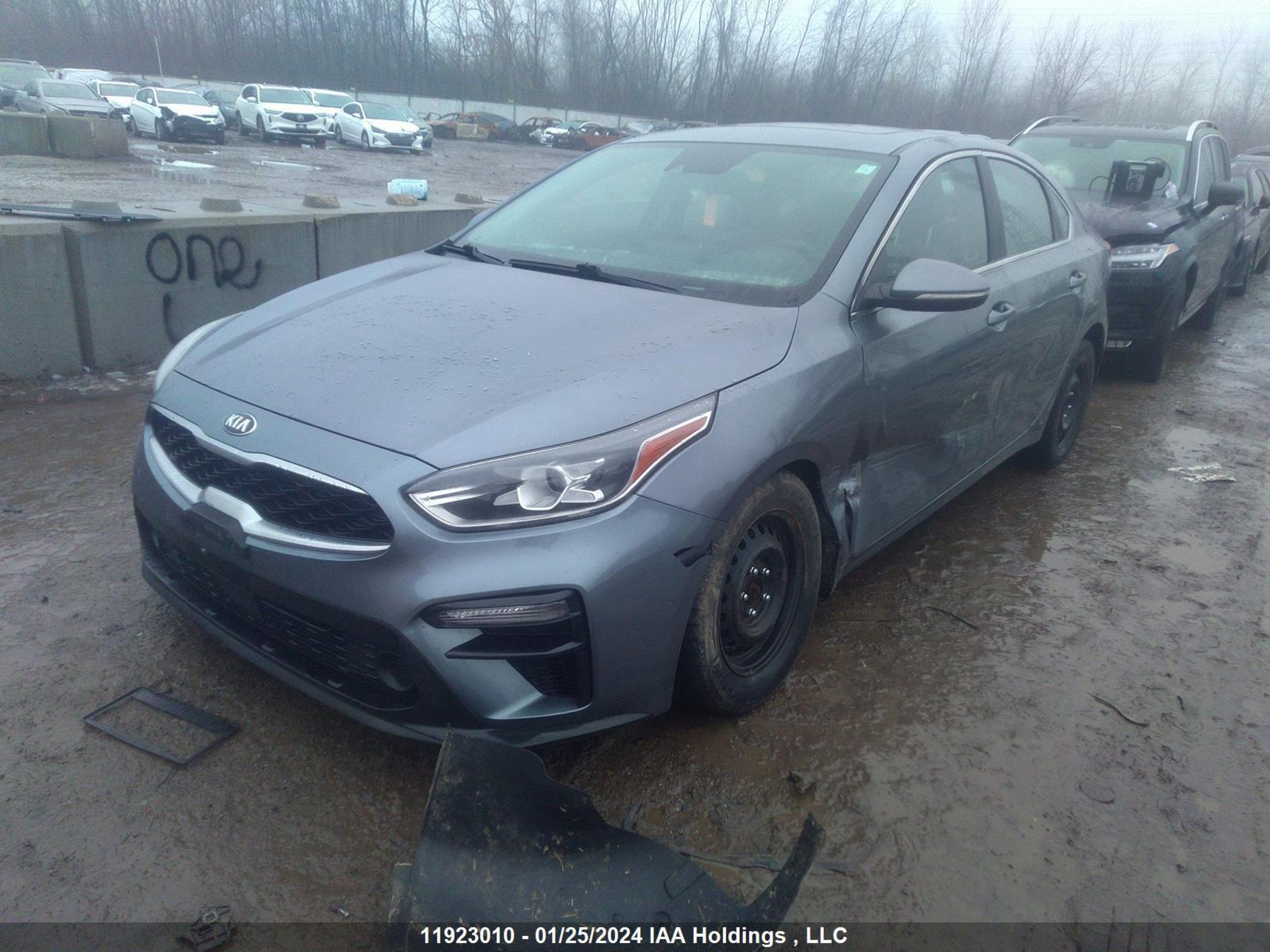 Photo 1 VIN: 3KPF54AD4LE220659 - KIA FORTE 